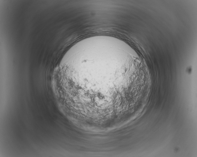 X0000116670044201001251248
