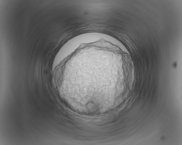 X0000116670046201001251248
