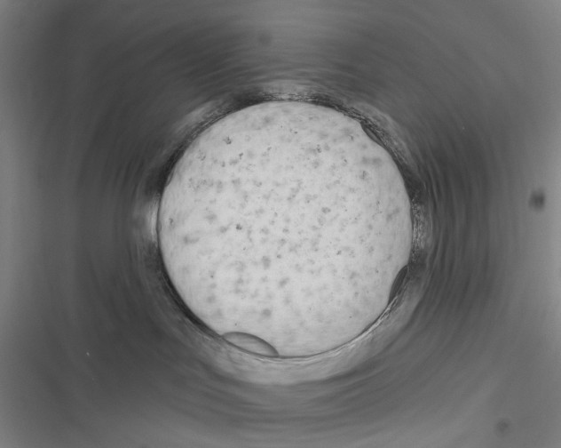 X0000116670047201001251248