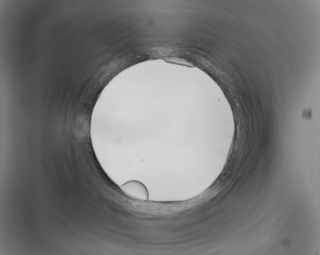 X0000116670048201001251248