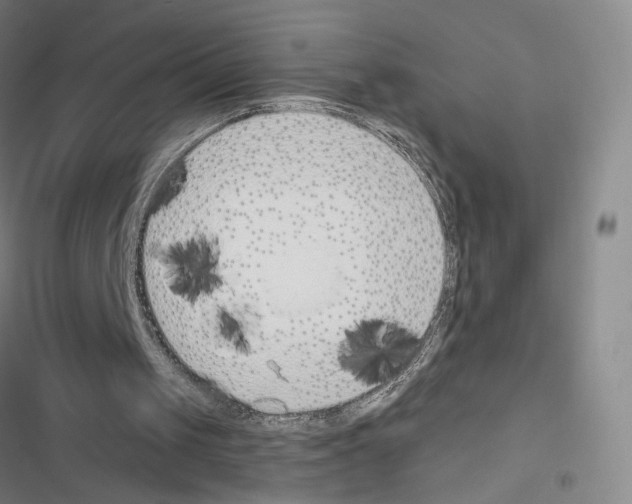 X0000116670049201001251247