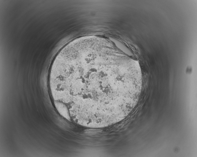 X0000116670051201001251247