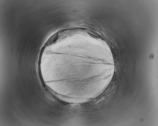 X0000116670052201001251247