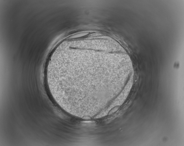 X0000116670053201001251247