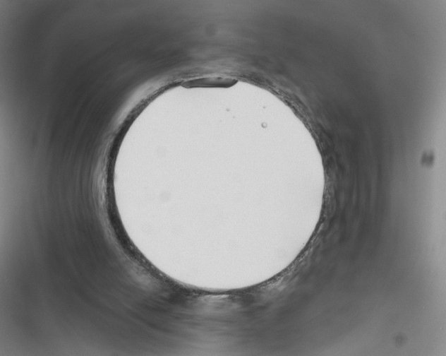 X0000116670054201001251247