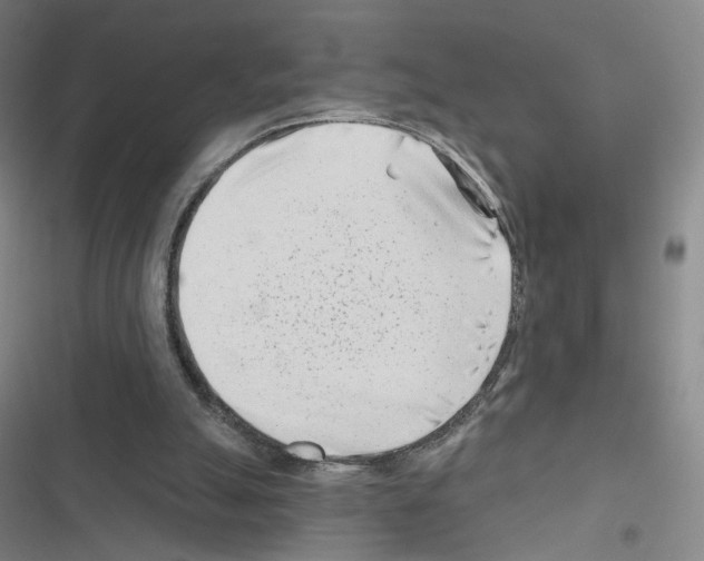 X0000116670055201001251247