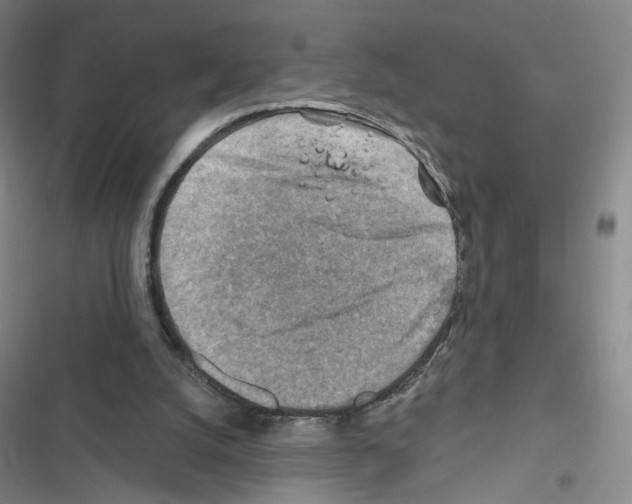 X0000116670056201001251247