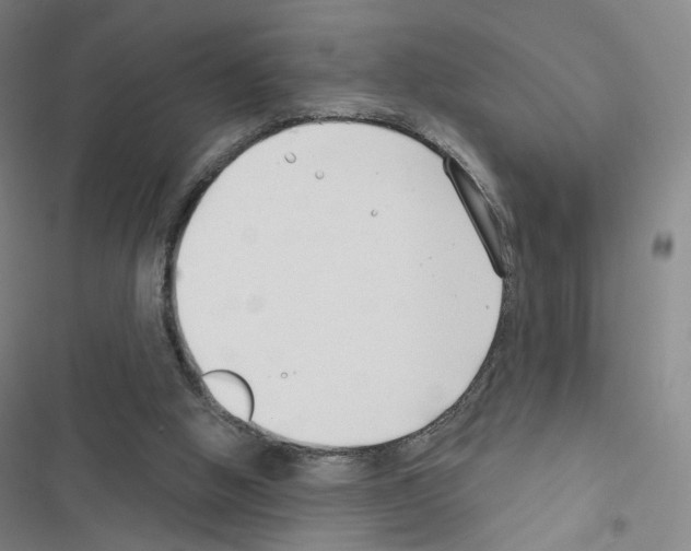 X0000116670058201001251247