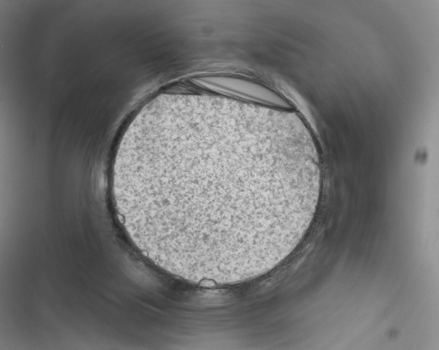 X0000116670059201001251247