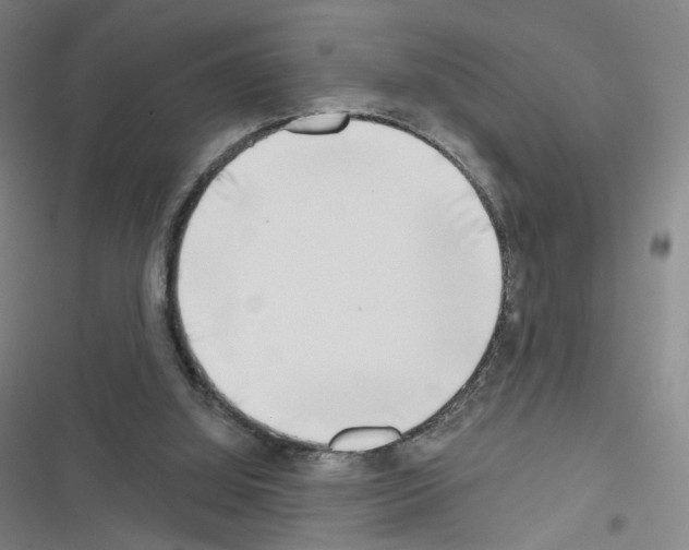 X0000116670060201001251247