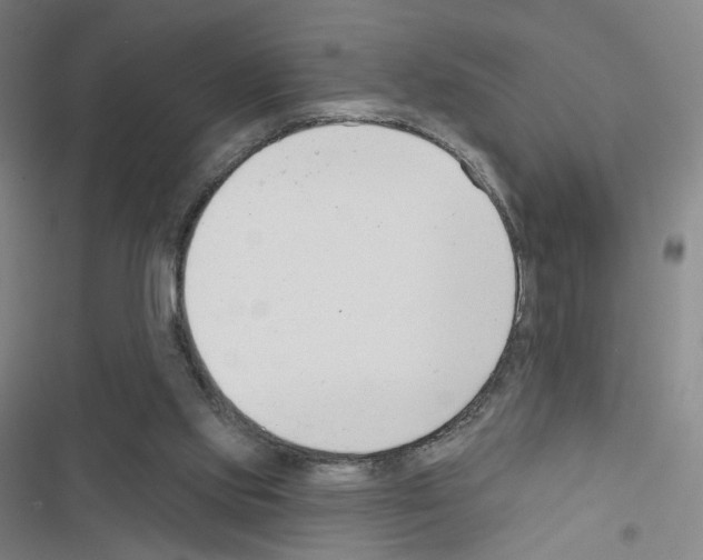 X0000116670061201001251247