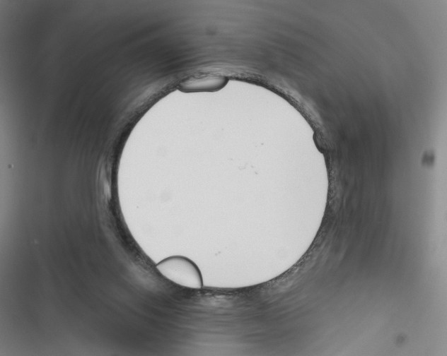 X0000116670062201001251247