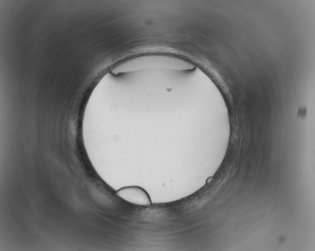 X0000116670063201001251247