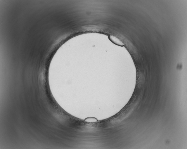 X0000116670064201001251247