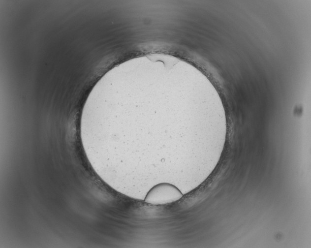 X0000116670065201001251247