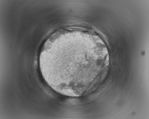 X0000116670067201001251247