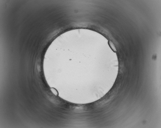 X0000116670068201001251247
