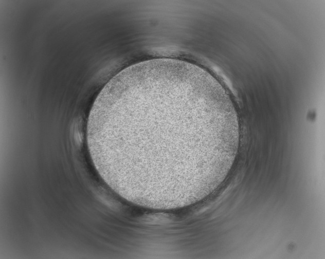 X0000116670069201001251247