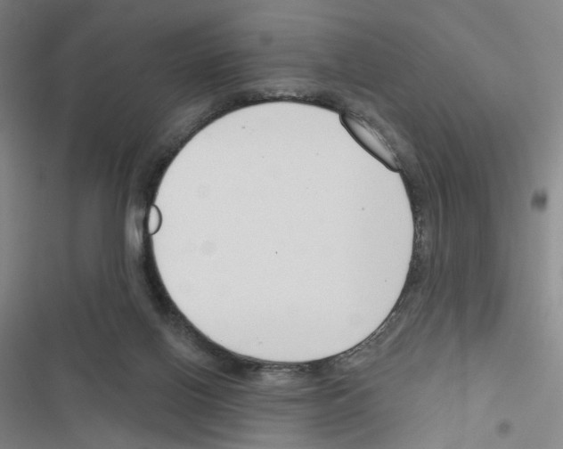 X0000116670070201001251247