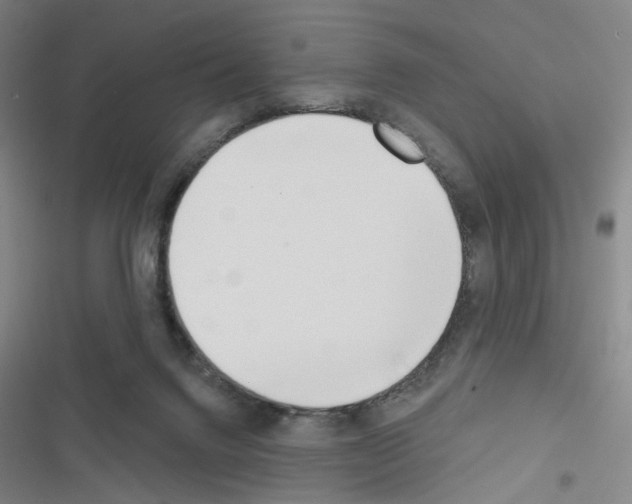 X0000116670072201001251247