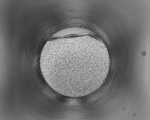 X0000116670073201001251247