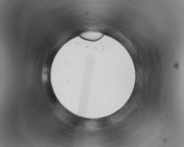 X0000116670075201001251247