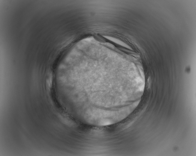 X0000116670076201001251247