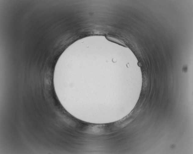 X0000116670078201001251248