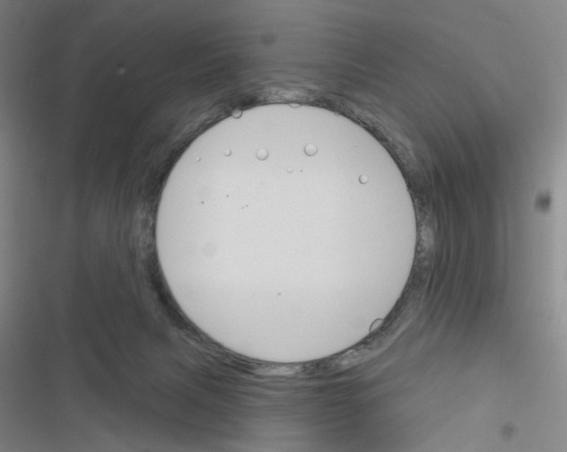 X0000116670079201001251248