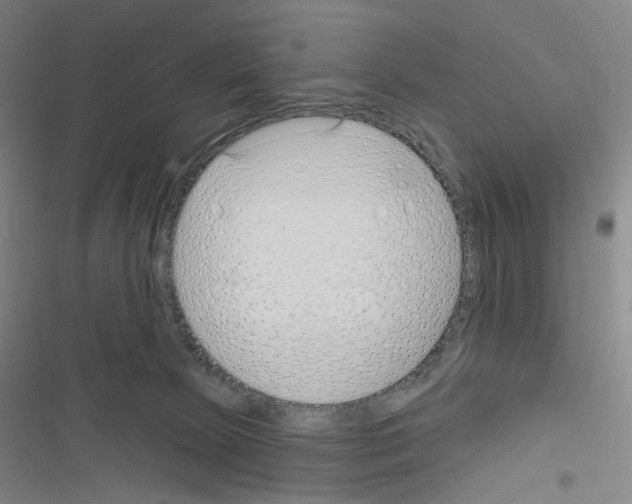 X0000116670081201001251248