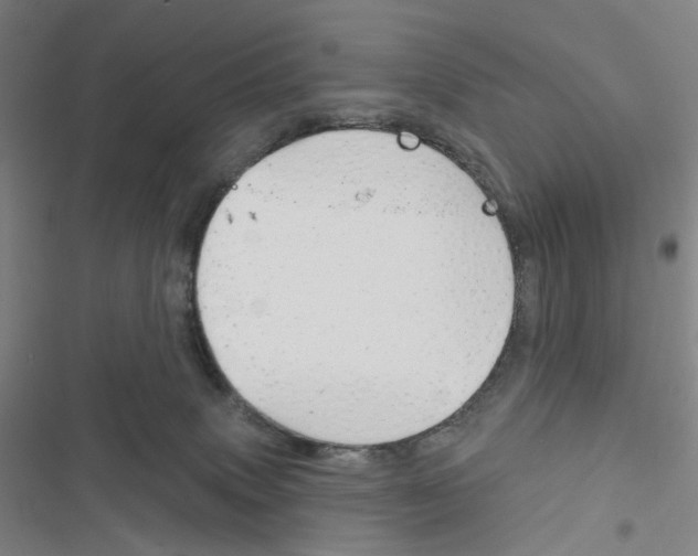 X0000116670083201001251248