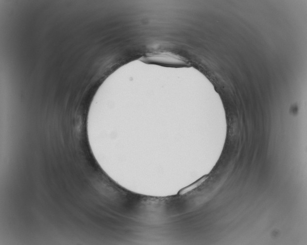 X0000116670084201001251248