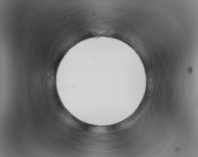 X0000116670085201001251248