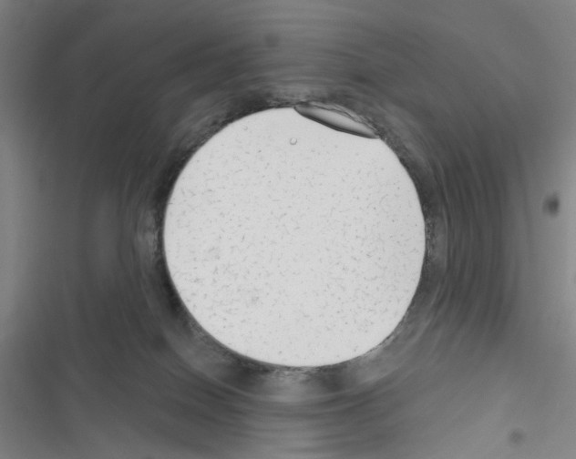 X0000116670086201001251248