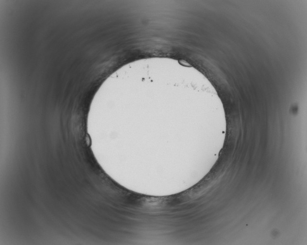 X0000116670088201001251248