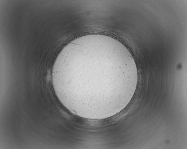 X0000116670089201001251248