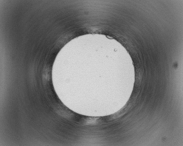 X0000116670090201001251248