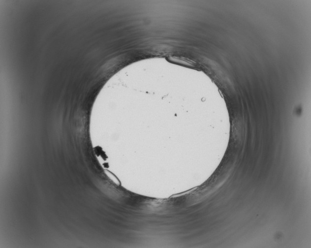 X0000116670092201001251248