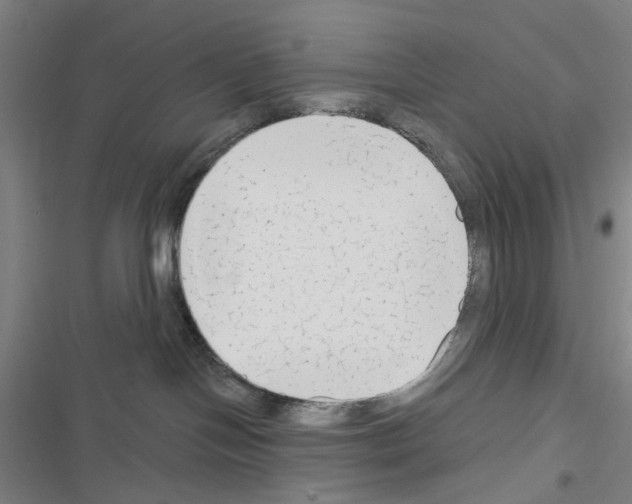 X0000116670094201001251248