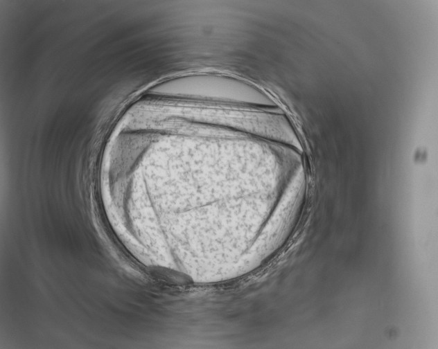 X0000116670097201001251247