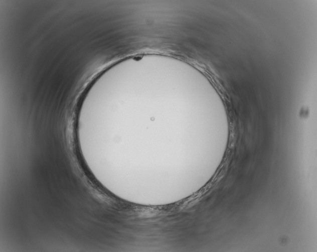 X0000116670098201001251247