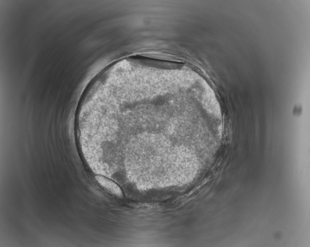X0000116670099201001251247