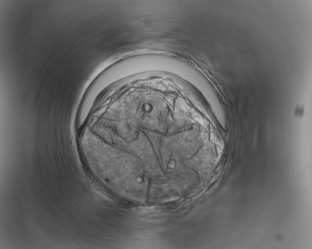 X0000116670100201001251247