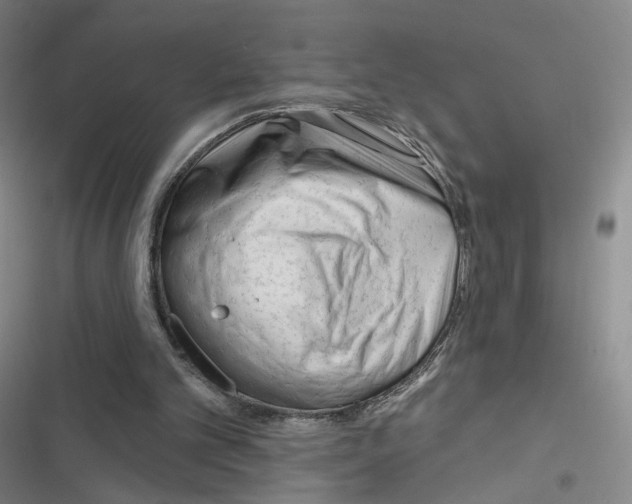 X0000116670101201001251247
