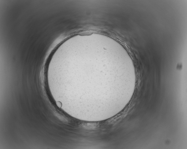 X0000116670102201001251247