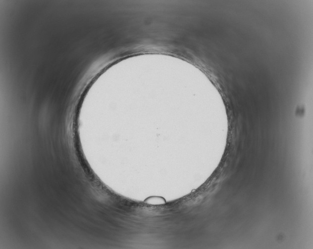 X0000116670103201001251247