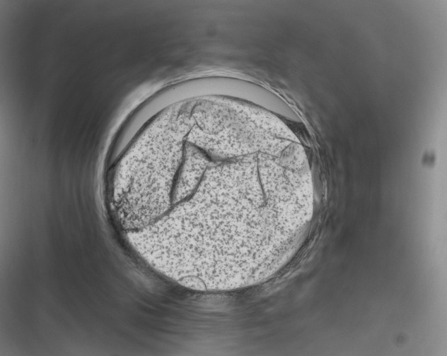 X0000116670104201001251247