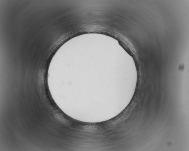 X0000116670105201001251247