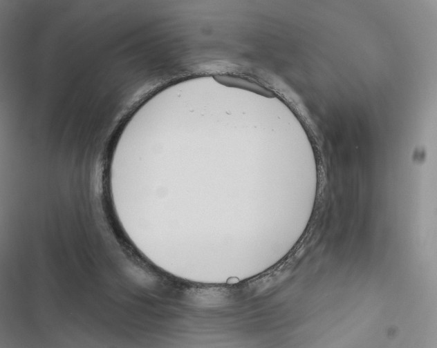 X0000116670106201001251247