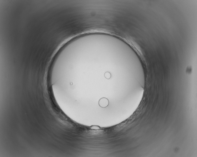 X0000116670108201001251247